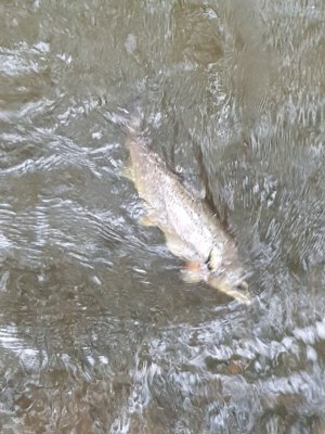 20220526_152138.jpg 20220526_152138.jpg