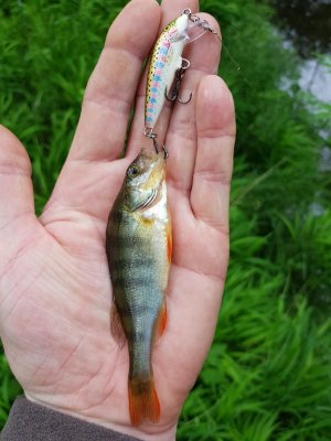 20220526_153830.jpg 20220526_153830.jpg