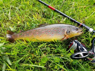 20220526_155239.jpg 20220526_155239.jpg