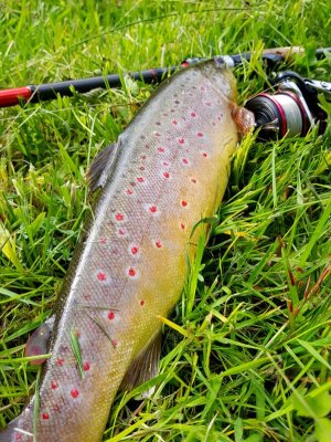 20220526_155310.jpg 20220526_155310.jpg