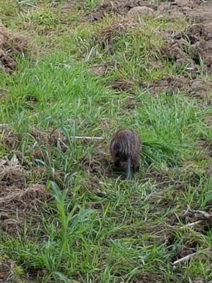 20220526_155732.jpg 20220526_155732.jpg