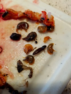 20220526_163239.jpg 20220526_163239.jpg