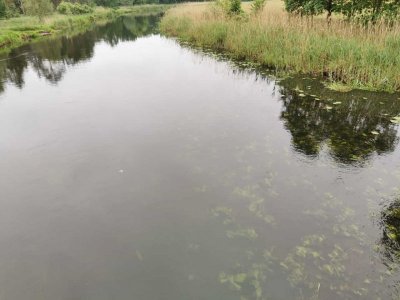 IMG-20220527-WA0000.jpg IMG-20220527-WA0000.jpg