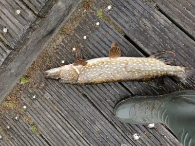 IMG-20220527-WA0001.jpg IMG-20220527-WA0001.jpg