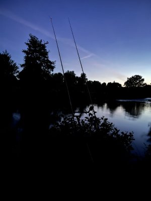 DC8AB91B-8E94-4A6A-8E87-D71C83BBE97D.jpeg DC8AB91B-8E94-4A6A-8E87-D71C83BBE97D.jpeg