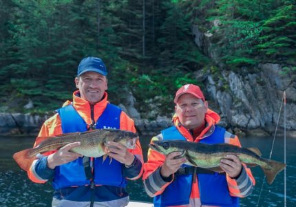 1653914487100.jpg 1653914487100.jpg