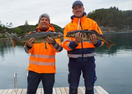 1653914487152.jpg 1653914487152.jpg