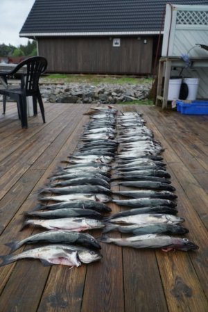 1653914487069.jpg 1653914487069.jpg