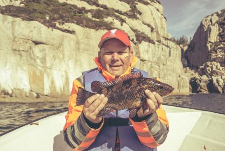 1653915694299.jpg 1653915694299.jpg