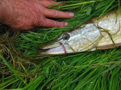 DSCN2422.JPG DSCN2422.JPG