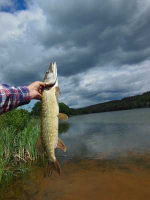 DSCN2423.JPG DSCN2423.JPG