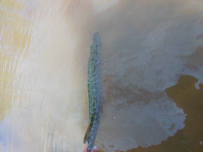 DSCN2427.JPG DSCN2427.JPG