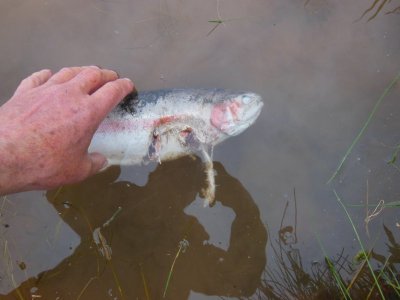 DSCN2439.JPG DSCN2439.JPG