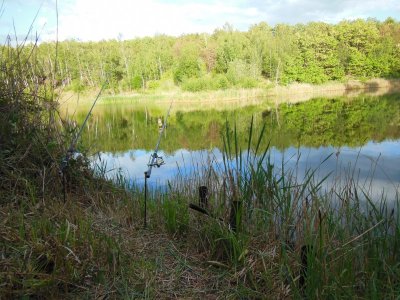 DSCN2455.JPG DSCN2455.JPG