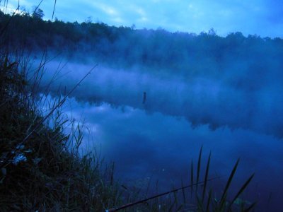 DSCN2460.JPG DSCN2460.JPG