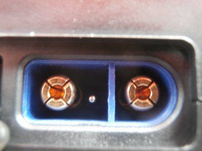 P5310358.JPG P5310358.JPG