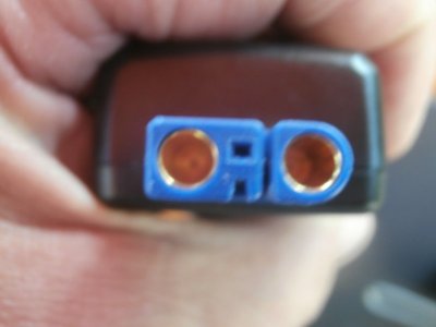 P5310359.JPG P5310359.JPG