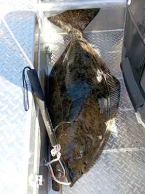 1654246946991.png 1654246946991.png