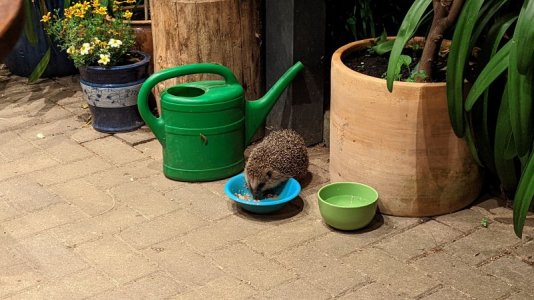 PXL_20220606_205521864.jpg PXL_20220606_205521864.jpg