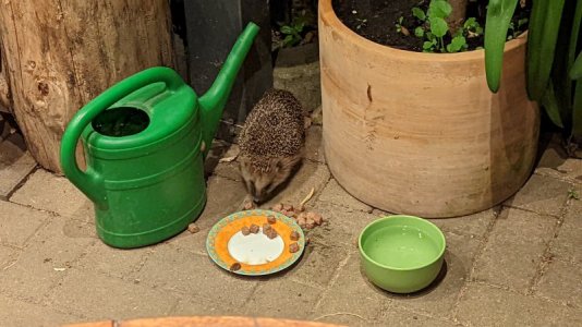 PXL_20220607_203719829.jpg PXL_20220607_203719829.jpg