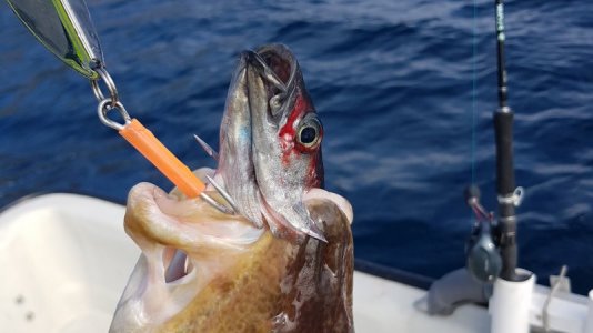 20210906_222801.jpg 20210906_222801.jpg