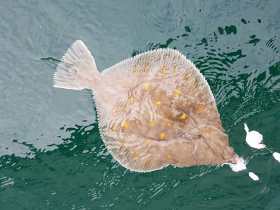 20210828_140359.jpg 20210828_140359.jpg