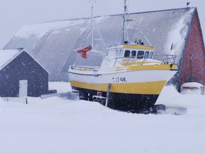 IMG-20220609-WA0005.jpg IMG-20220609-WA0005.jpg