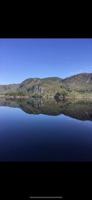 9C84A742-48BD-4125-BAE4-3E45245B490A.png 9C84A742-48BD-4125-BAE4-3E45245B490A.png