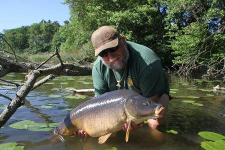 FB_IMG_1655015026617.jpg FB_IMG_1655015026617.jpg