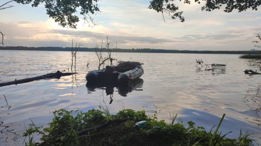 IMG-20220608-WA0016.jpeg IMG-20220608-WA0016.jpeg