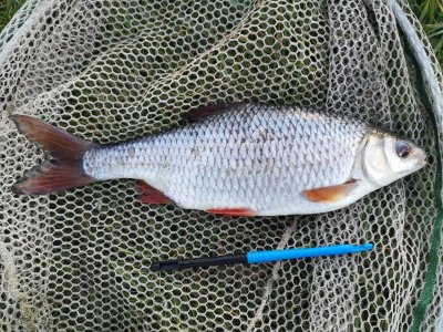 IMG_20220612_233117.jpg IMG_20220612_233117.jpg