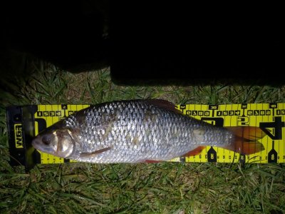 IMG_20220510_000024.jpg IMG_20220510_000024.jpg