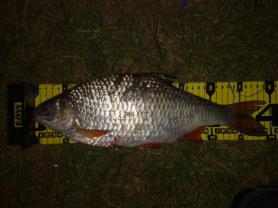 IMG_20220510_012803.jpg IMG_20220510_012803.jpg