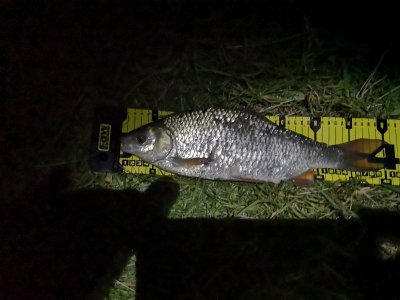 IMG_20220611_031748.jpg IMG_20220611_031748.jpg