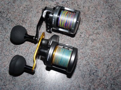 DSC08316.JPG DSC08316.JPG