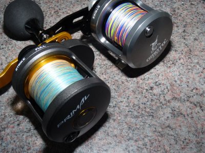 DSC08317.JPG DSC08317.JPG