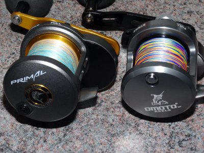 DSC08318.JPG DSC08318.JPG