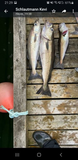 Screenshot_20220619-212927_WhatsApp.jpg Screenshot_20220619-212927_WhatsApp.jpg