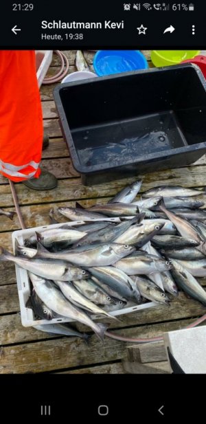 Screenshot_20220619-212916_WhatsApp.jpg Screenshot_20220619-212916_WhatsApp.jpg