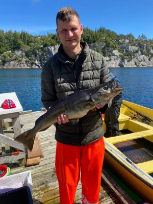 IMG-20220620-WA0005.jpg IMG-20220620-WA0005.jpg