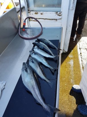 20220516_183140.jpg 20220516_183140.jpg