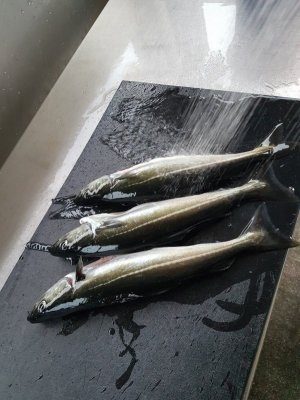 20220519_211941.jpg 20220519_211941.jpg