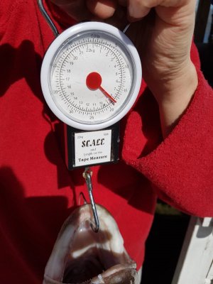 20220520_155017.jpg 20220520_155017.jpg