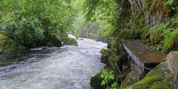 20220624_214835.jpg 20220624_214835.jpg