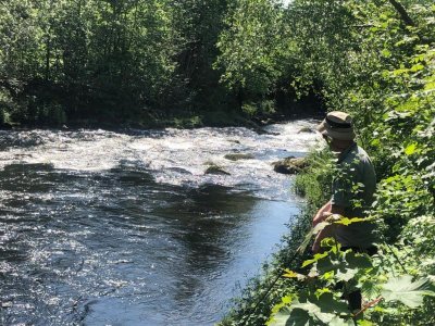 IMG-20220624-WA0001.jpg IMG-20220624-WA0001.jpg