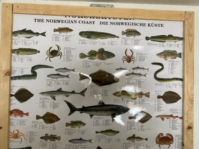 Fischplakat.jpg Fischplakat.jpg