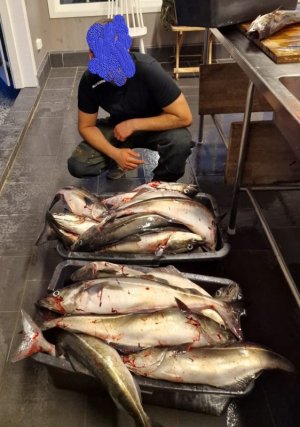 IMG-20220704-WA0000.jpg IMG-20220704-WA0000.jpg