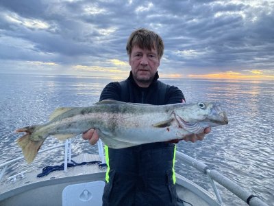 2022 Norwegen-Hitra ANGELN (10040).JPEG 2022 Norwegen-Hitra ANGELN (10040).JPEG