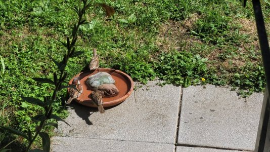 20220708_160600.jpg 20220708_160600.jpg