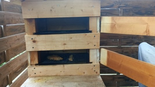 IMG_20220709_162701_418.jpg IMG_20220709_162701_418.jpg